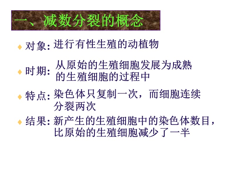 减数分裂和生殖细胞的形成-精选文档.ppt_第3页