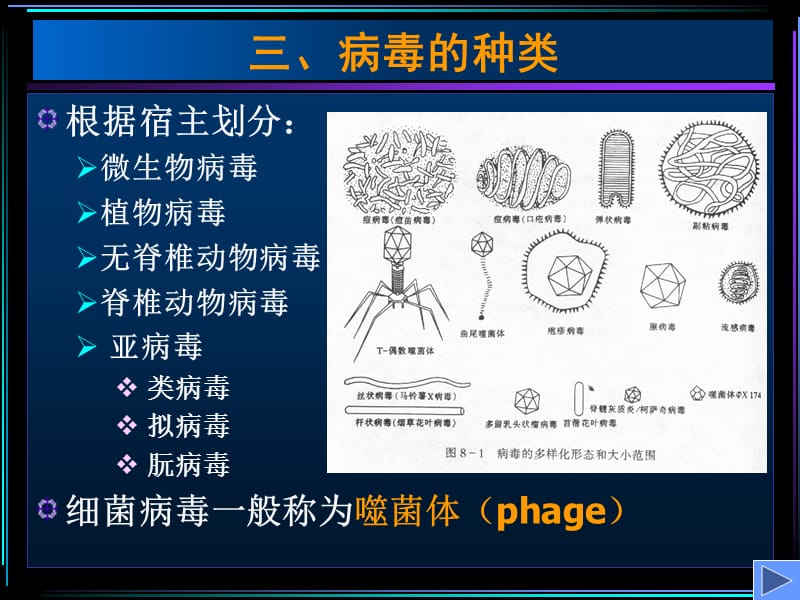 最新第十章细菌及病毒的遗传分析h-PPT文档.ppt_第3页