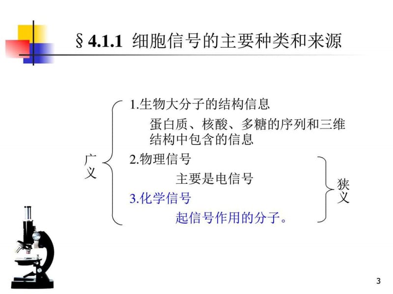 最新：Part2-3 膜与细胞生物物理-细胞跨膜信号传导-文档资料.ppt_第2页