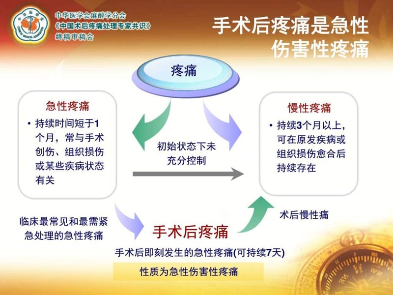 最新成人手术后疼痛处理专家共识-PPT文档.ppt_第3页