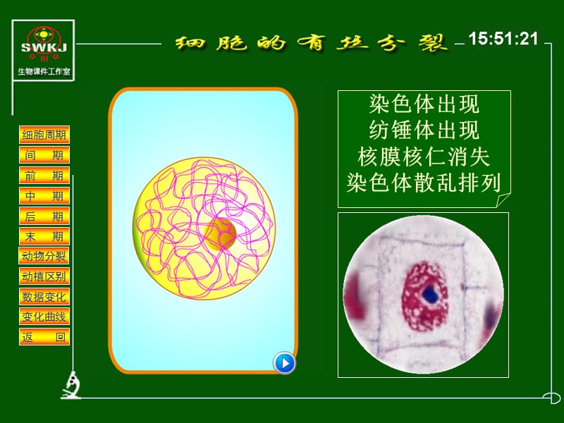 最新细胞分裂分析课件-PPT文档.ppt_第2页