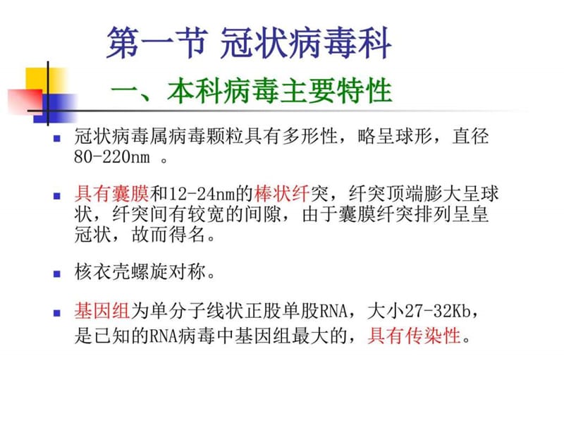 最新套式病毒目_计算机软件及应用_IT计算机_专业资料-PPT文档.ppt_第1页