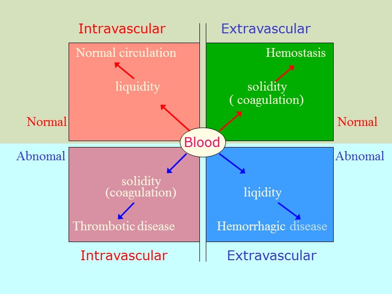 pathophysiologypart414dic弥散性血管内凝血-文档资料.ppt_第1页