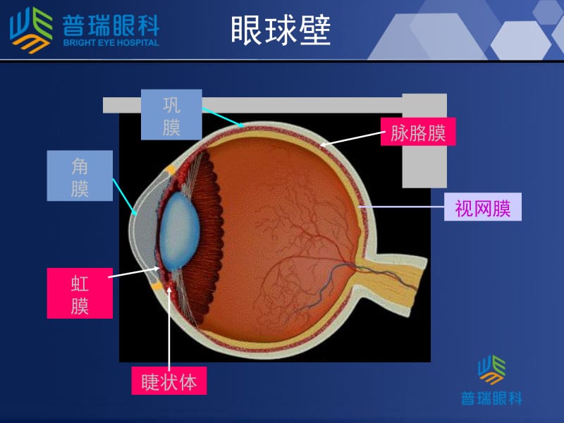 最新上海普瑞眼科医院青光眼讲座-PPT文档.ppt_第2页