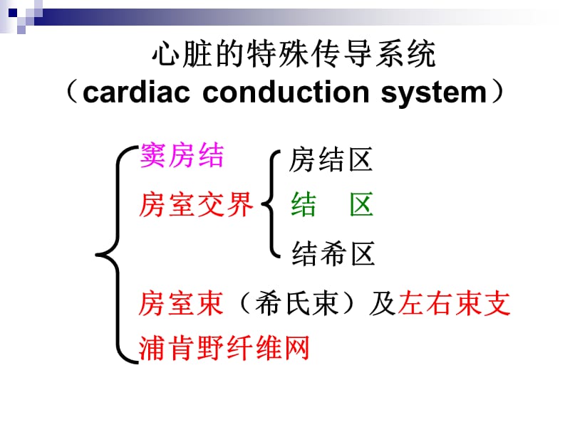 4-2心肌细胞的生物电-PPT文档资料.ppt_第2页