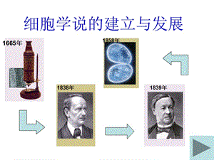 3-1生命活动的基本单位---细胞djn-PPT课件.ppt