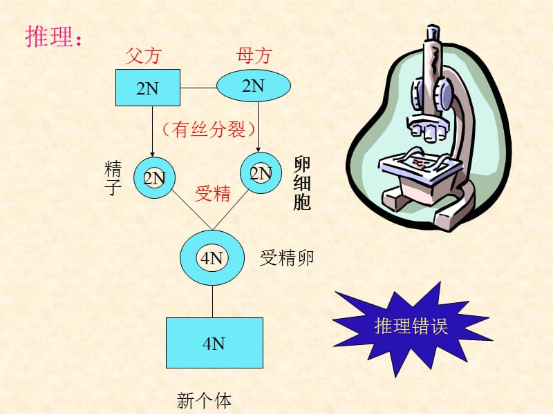 减数分裂与有性生殖细胞的成熟2-文档资料.ppt_第2页