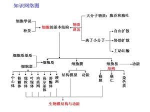 专题二细胞的基本结构和物质运输-PPT文档资料.ppt