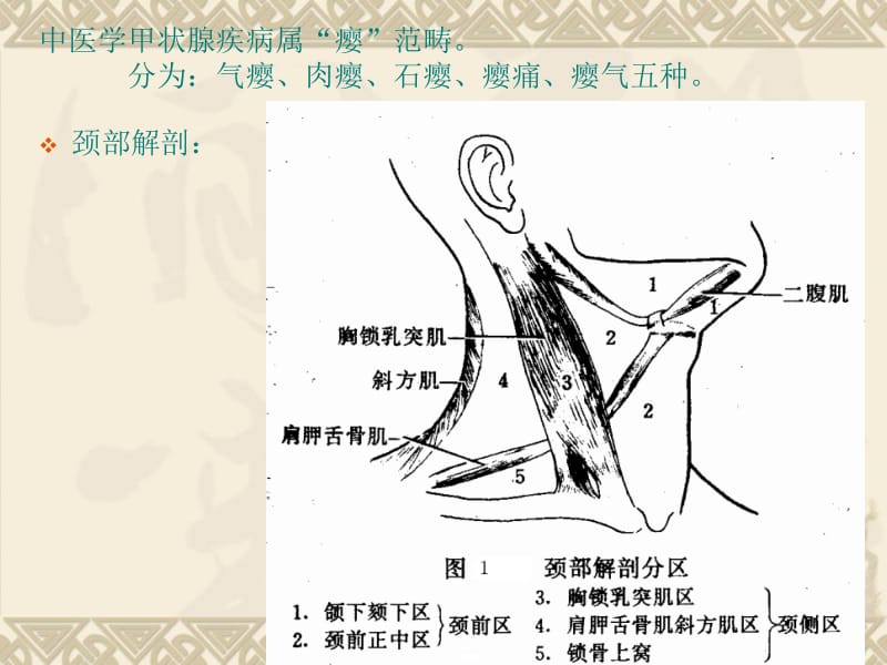 最新甲状腺疾病讲稿-PPT文档.ppt_第1页