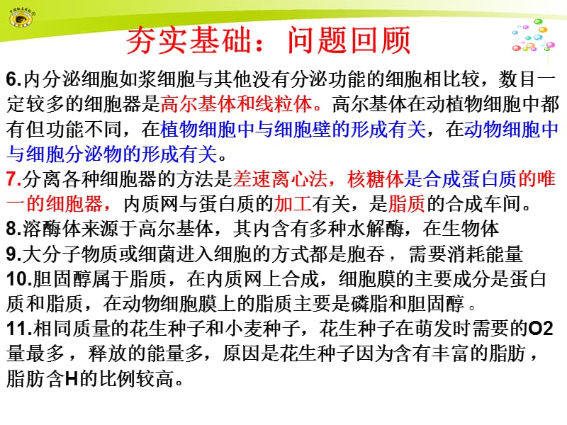 二轮复习细胞的物质与结构基础-PPT文档资料.ppt_第1页