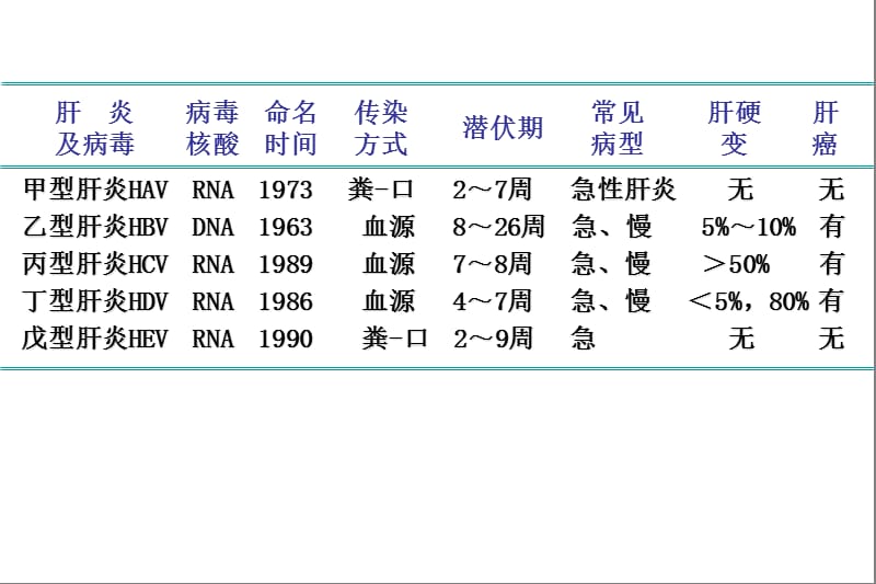 最新传染病-病毒性肝炎 ppt课件-PPT文档.ppt_第2页