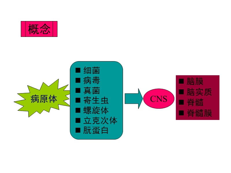 中枢神经系统感染--单胞脑炎-精选文档.ppt_第2页