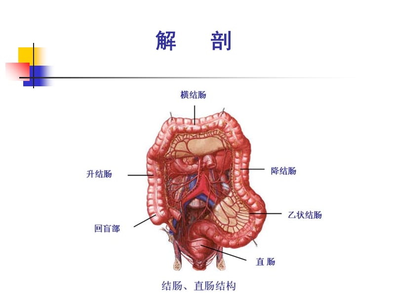 最新：34-结肠直肠肛管疾病,李明意-文档资料-PPT文档.ppt_第1页