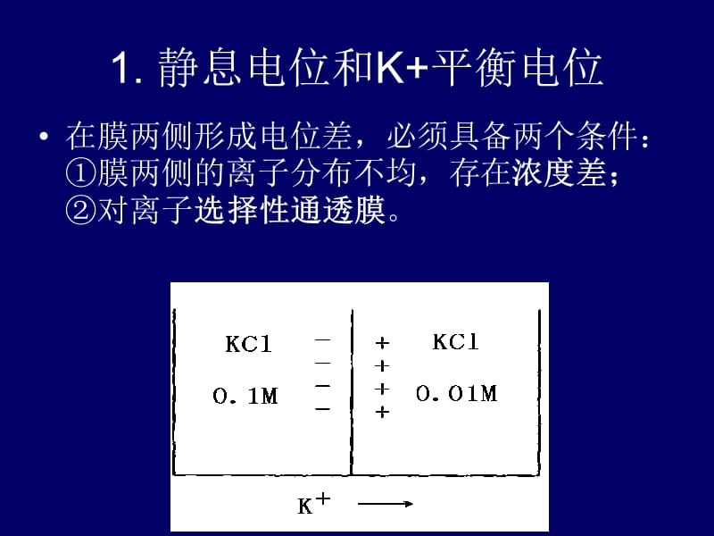 最新最新：2-5细胞的基本机能-文档资料-PPT文档.ppt_第3页