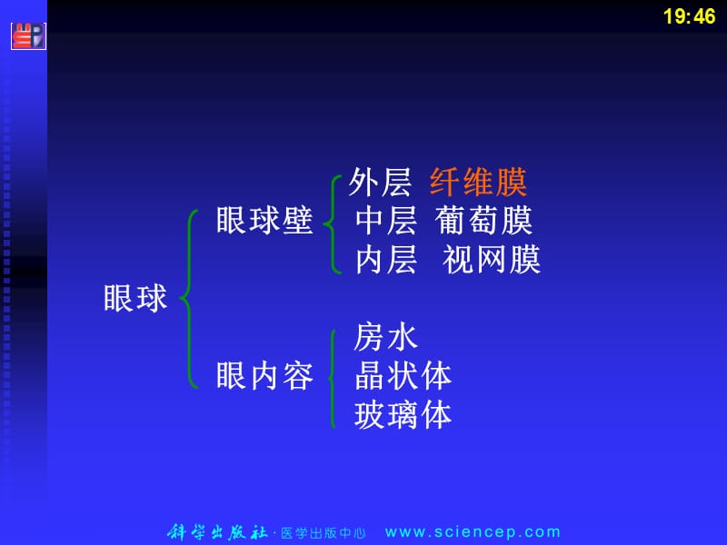 最新：2第1章眼科应用解剖及生理-文档资料-文档资料.ppt_第3页