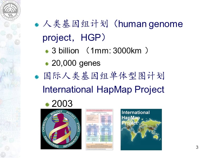 snp关联分析与复杂疾病-PPT课件.pptx_第3页