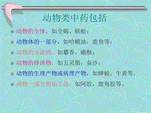 动物类药中药鉴定学云中医学院-PPT文档.ppt