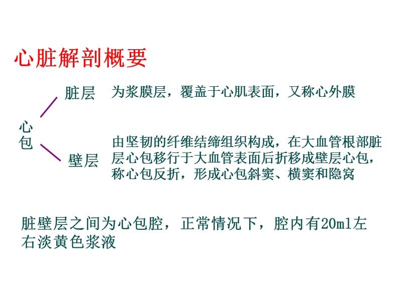 最新心脏解剖及超声心动图检查方法+心功能测定-PPT文档.ppt_第1页