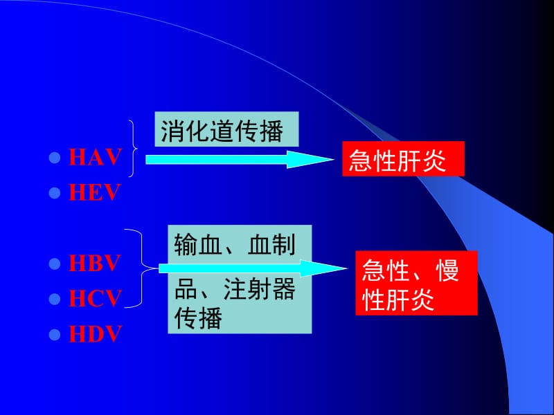 3肝炎病毒和黄V出血热V疱疹V-精选文档.ppt_第1页