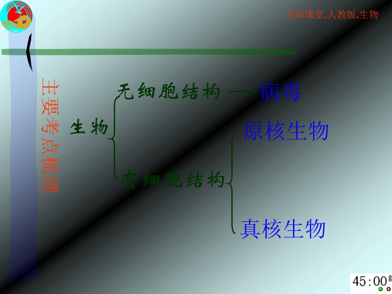 原核生物、真核生物与病毒-文档资料.ppt_第2页