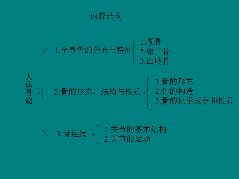 最新人体骨骼构成图解[1]-PPT文档.ppt_第1页