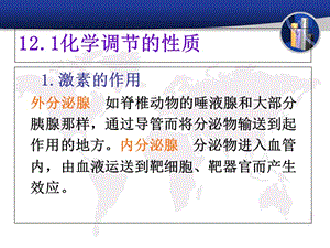 最新：12内分泌系统与化学调节-文档资料-文档资料.ppt