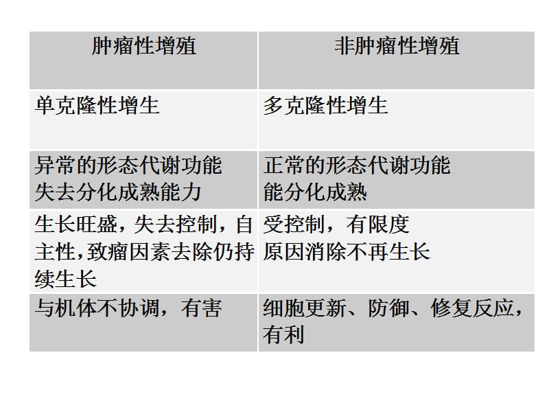 最新病理学--肿瘤#-PPT文档.ppt_第2页