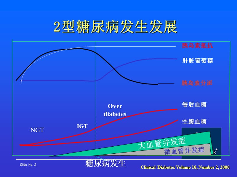 最新：※糖尿病的胰岛素治疗--福州胰岛素班-文档资料.ppt_第2页