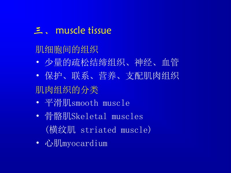 最新：026肌肉组织-文档资料-文档资料.ppt_第1页