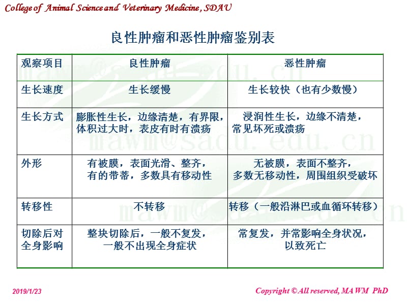 最新第三讲肿瘤tumour-PPT文档.ppt_第3页