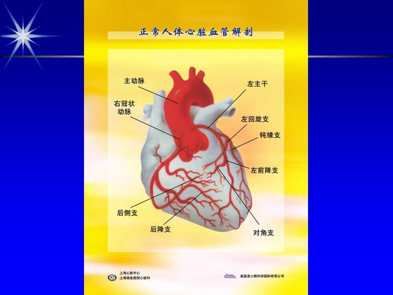 最新冠性病诊断与治疗 冠状动脉粥样硬化性心脏病(CORONARY-PPT文档.ppt_第2页