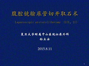 最新：腹腔镜输尿管切开取石术2014ppt课件-文档资料.pptx