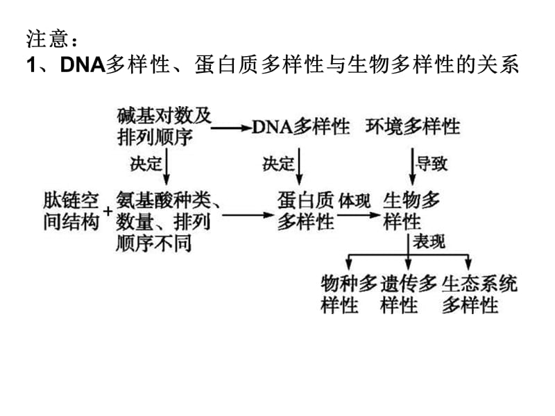 最新：专题一细胞的物质基础与结构基础-文档资料.ppt_第3页