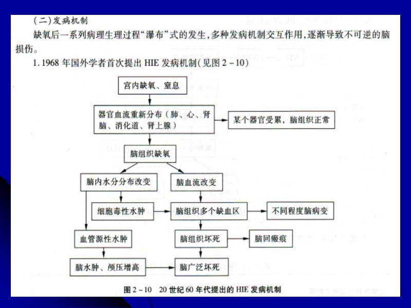 最新缺氧缺血脑病-PPT文档.ppt_第2页