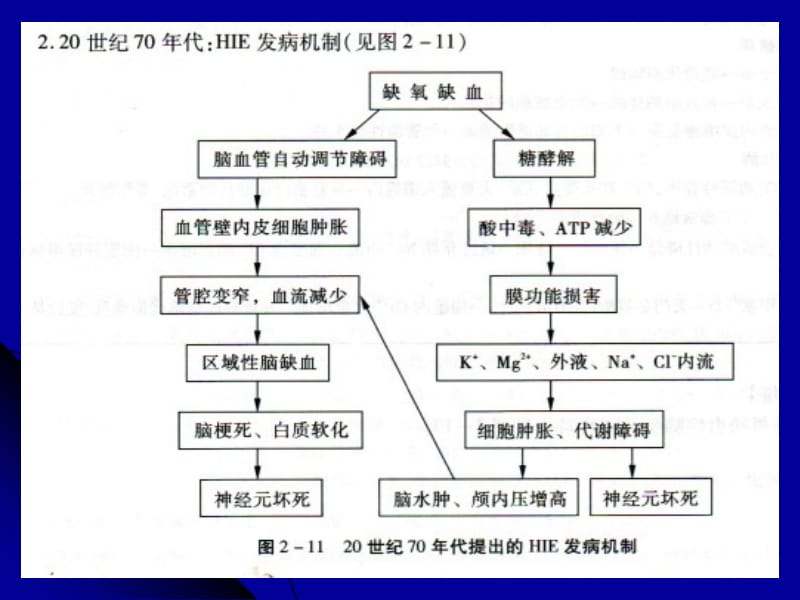 最新缺氧缺血脑病-PPT文档.ppt_第3页