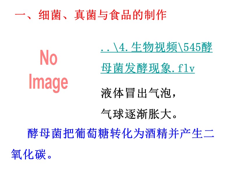 545人类对细菌真菌的利用-PPT文档.ppt_第3页