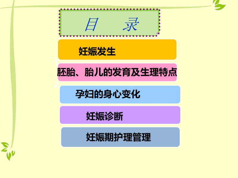 最新妊娠期妇女的护理修订-PPT文档.ppt_第2页