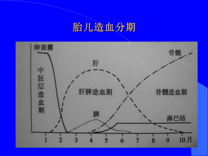 新生儿贫血与输血疗法-文档资料.ppt_第3页