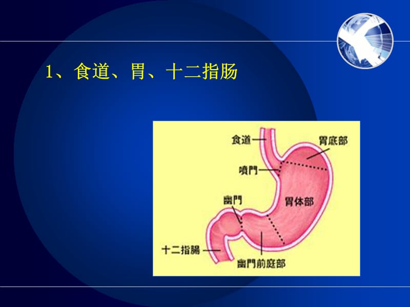 最新消化系统疾病相关知识要点-PPT文档.ppt_第3页