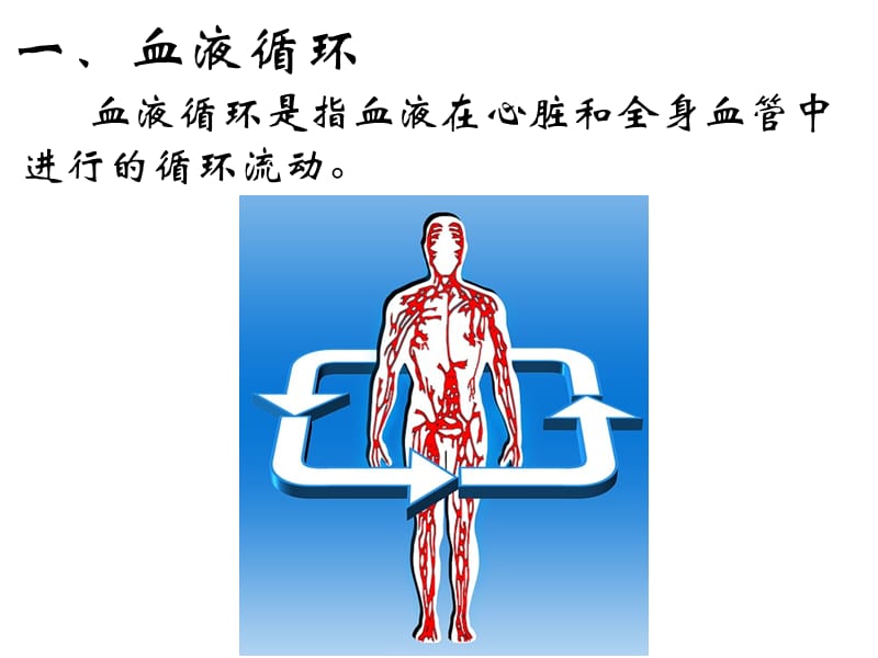 最新《血液循环》PPT课件-PPT文档.ppt_第1页