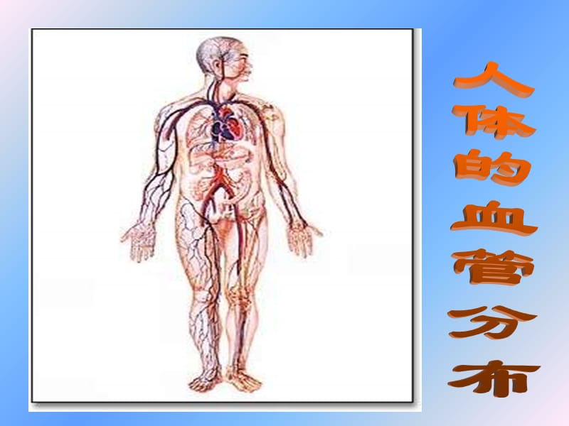 最新：七年级生物ppt课件-血管-文档资料.ppt_第1页