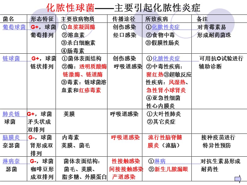 6细菌、病毒各论-PPT文档.ppt_第1页