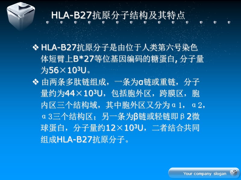 HLAB27高分辨基因分型的临床-PPT文档.ppt_第3页