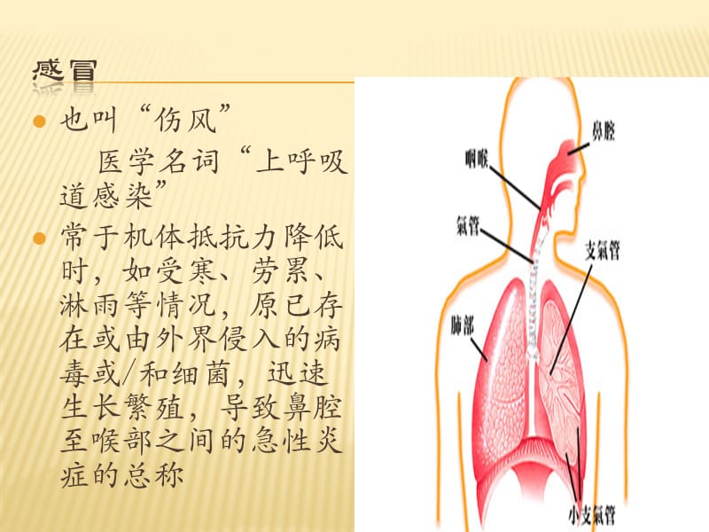 最新：白领常见病-文档资料.pptx_第1页