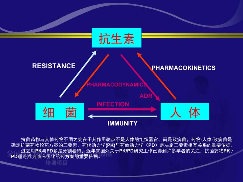 最新抗菌药物PK-PD与临床应用研究王睿-PPT文档.ppt_第2页