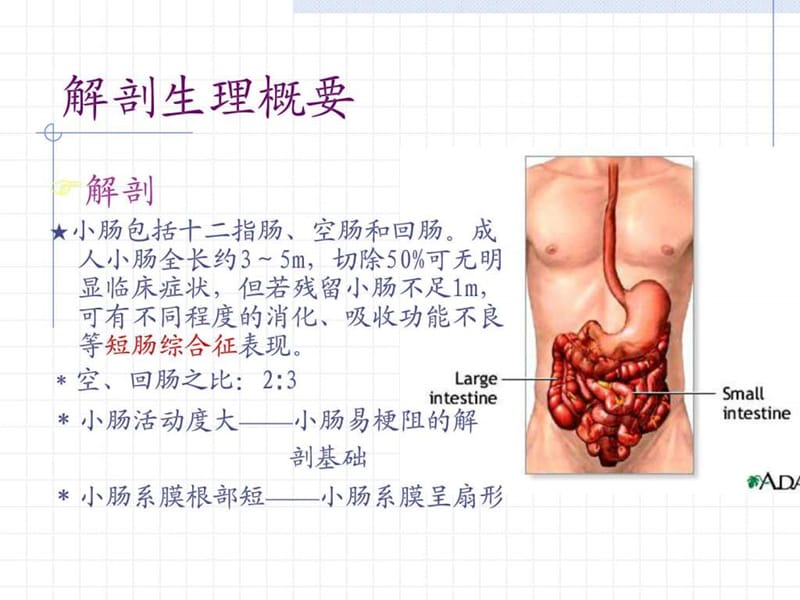 最新肠梗阻分型及常见病因-PPT文档.ppt_第2页