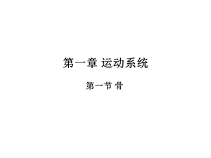 人体解剖骨的概述-PPT文档资料.ppt