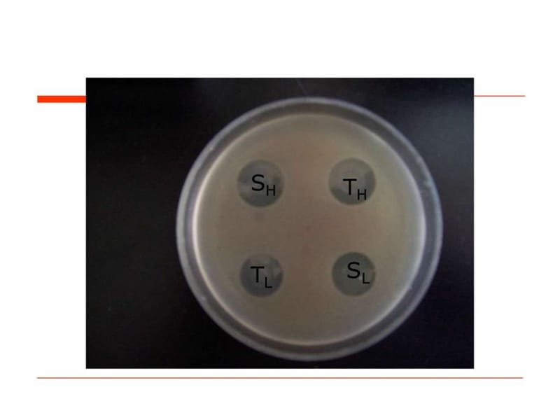 抗生素微生物检定法.ppt-文档资料.ppt_第2页