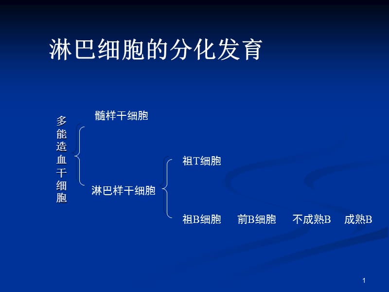 医学免疫学第九章 B淋巴细胞-文档资料.ppt_第1页