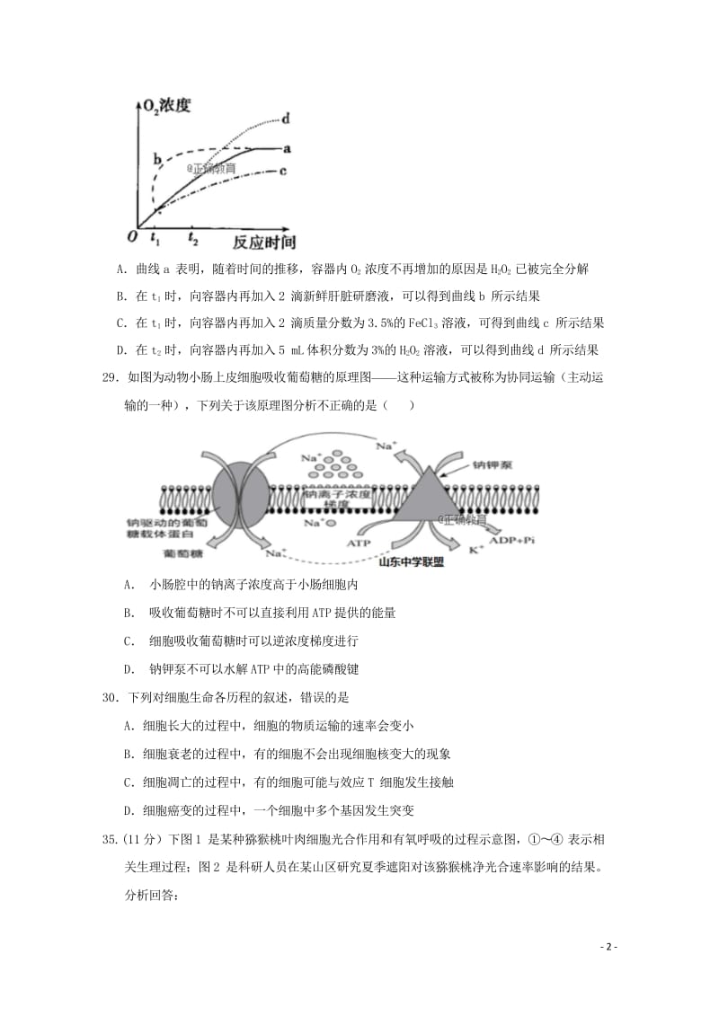 山东省夏津一中2019届高三生物10月月考试题2018110601119.wps_第2页